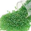 TOHO Round Seed Beads X-SEED-TR11-0167-1
