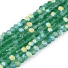 Transparent Glass Beads Strands EGLA-A044-T2mm-MB18-1