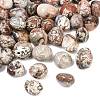 Natural Mexican Lace Agate Crazy Lace Agate Beads GG-CBAD0F6-B07-01-1