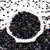 Glass Seed Beads & Bugle Beads SEED-Q041-04E-2