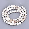 Natural Freshwater Shell Beads Strands X-SHEL-N027-02-2
