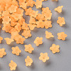 Transparent Acrylic Beads LS-X-PL554-07-1