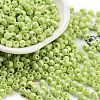 Baking Paint Glass Seed Beads SEED-A032-02F-1