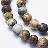 Natural Pietersite Beads Strands G-K256-49-8mm-3