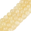 Natural Golden Silk Jade Beads Strands G-N369-01B-01-1