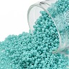 TOHO Round Seed Beads X-SEED-TR11-0055-1