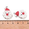 Christmas Theme Opaque Resin Pendants RESI-N039-109-3