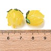 Handmade Lampwork Beads LAMP-F041-02C-4