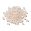 Acrylic Beads LS-OACR-C020-02C-1