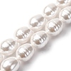 Electroplated Shell Pearl Beads Strands BSHE-H110-01-03-1