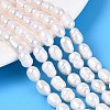 Natural Cultured Freshwater Pearl Beads Strands PEAR-T006-19C-1