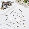 60Pcs 2 Styles Iron Nails IFIN-LP0001-61-1
