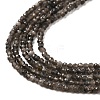 Natural Silver Sheen Obsidian Beads Strands G-E608-A02-A-3