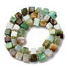Natural Serpentine Beads Strands G-G053-B21-01-3