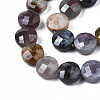 Natural Indian Agate Beads Strands G-S359-369-3