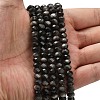 Natural Eagle Eye Stone Beads Strands G-Z111-A11-01-2
