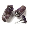 Natural Amethyst Dropper Perfume Bottles DJEW-H010-03P-01-2