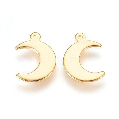 304 Stainless Steel Charms STAS-H557-31G-1