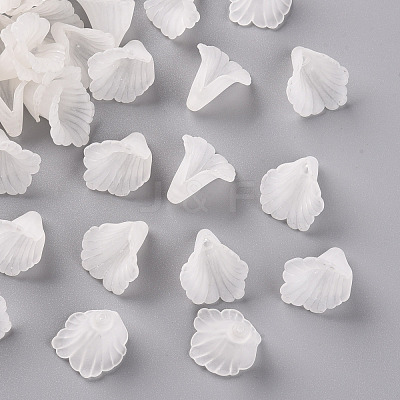Transparent Acrylic Bead Caps PL551-1