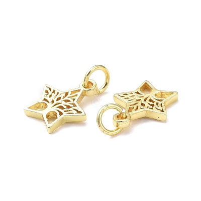 Rack Plating Brass Charms KK-F849-05G-1