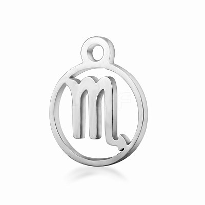 Non-Tarnish 201 Stainless Steel Charms STAS-T014-T505-8-1