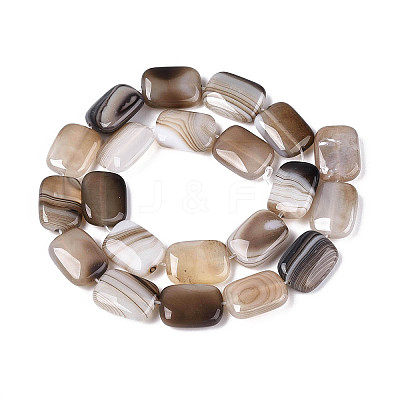 Natural Agate Beads Strands G-N356-03A-03-1