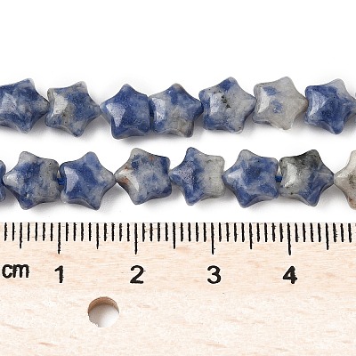 Natural Blue Spot Jasper Star Beads Strands G-Z080-A06-1