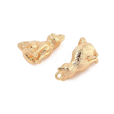 Brass Pendants KK-L223-022G-1