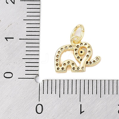 Rack Plating Brass Cubic Zirconia Charms KK-Z060-12G-1