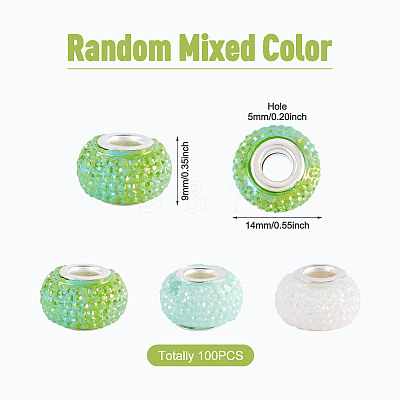 100Pcs Large Hole Resin European Beads OPDL-TA0001-06B-1