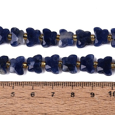 Natural Sodalite Beads Strands G-N371-10A-03-1