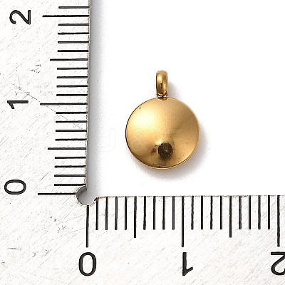 304 Stainless Steel Black Enamel Charms LS-STAS-R009-02G-01-1