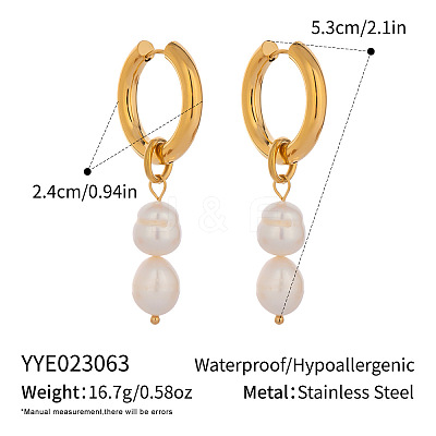 Stainless Steel Hoop Earrings ZU9248-2-1