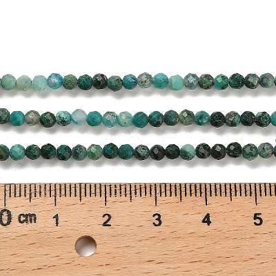 Natural Chrysocolla Beads Strands G-K373-B06-03-1