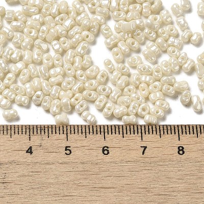 Glass Seed Beads SEED-K009-02A-08-1