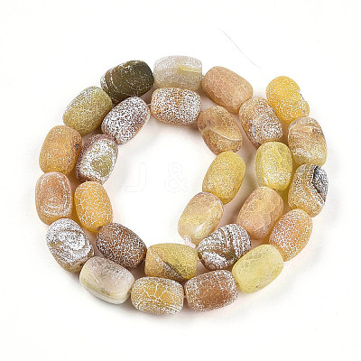 Natural Weathered Agate Beads Strands G-N344-42A-1