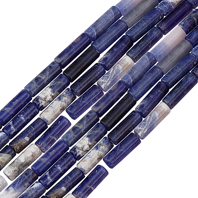 2 Strands Natural Sodalite Beads Strands G-OC0004-74-1