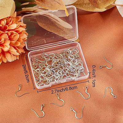 100Pcs 2 Colors Brass Earring Hooks KK-BBC0004-40-1