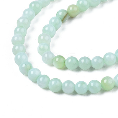 Natural Freshwater Shell Beads Strands X-BSHE-T009A-01D-1