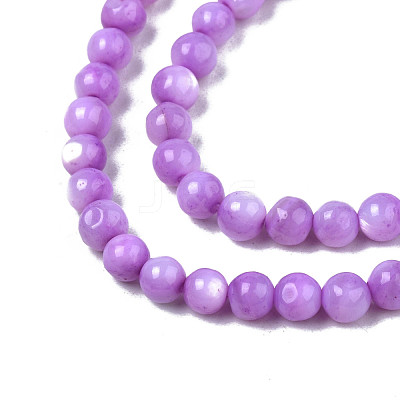 Natural Freshwater Shell Beads Strands SHEL-N003-24-B04-1