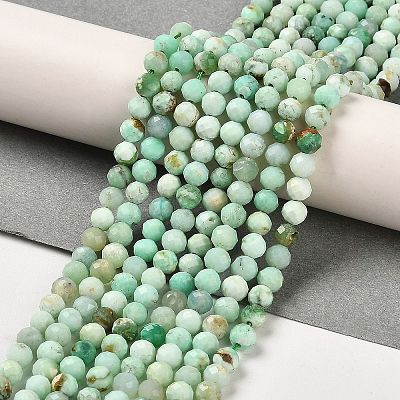 Natural Green Opal Beads Strands G-Z035-A02-03E-1