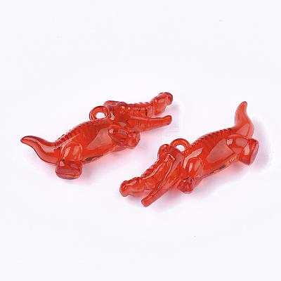Transparent Acrylic Pendants TACR-S133-106-1