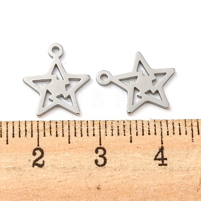 Non-Tarnish 304 Stainless Steel Charms LS-STAS-L022-035P-1