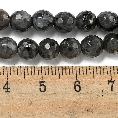 Natural Larvikite Beads Strands G-E571-A09-01-1
