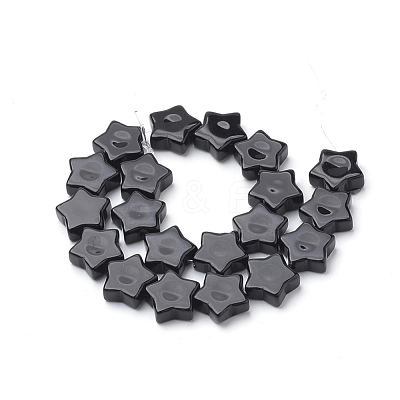 Natural Black Stone Beads Strands G-Q974-09-1