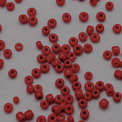 6/0 Glass Seed Beads SEED-J014-F6-45-1