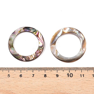 Natural Abalone Shell/Paua Shell Cabochons SHEL-T020-10B-1
