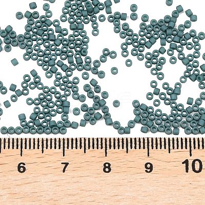 MIYUKI Delica Beads X-SEED-J020-DB2407-1