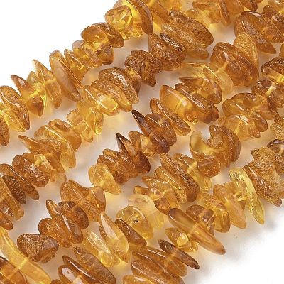 Natural Amber Beads Strands G-L095-D01-06-1
