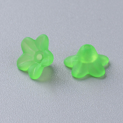 Transparent Acrylic Beads X-PL554-13-1